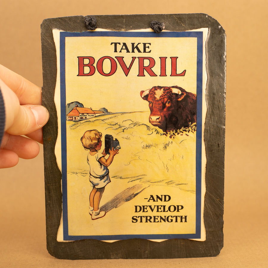 Bovril Folding Camera Slate Sign